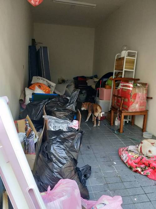 台中廢棄物清運
